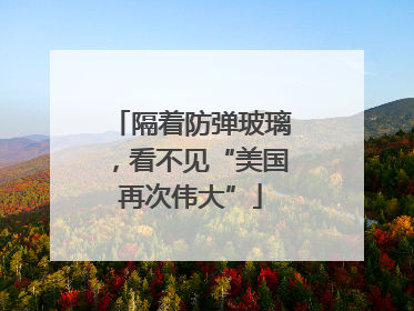 隔着防弹玻璃，看不见“美国再次伟大”