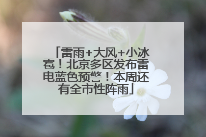 雷雨+大风+小冰雹！北京多区发布雷电蓝色预警！本周还有全市性阵雨