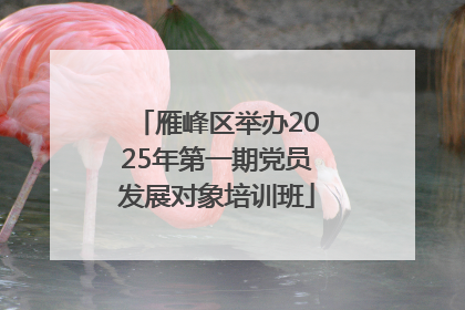 雁峰区举办2025年第一期党员发展对象培训班