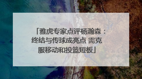 雅虎专家点评杨瀚森：终结与传球成亮点 需克服移动和投篮短板