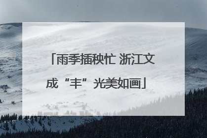 雨季插秧忙 浙江文成“丰”光美如画