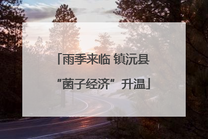 雨季来临 镇沅县“菌子经济”升温