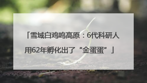 雪域白鸡鸣高原：6代科研人用62年孵化出了“金蛋蛋”