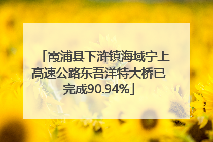 霞浦县下浒镇海域宁上高速公路东吾洋特大桥已完成90.94%