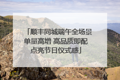 顺丰同城端午全场景单量高增 高品质即配点亮节日仪式感