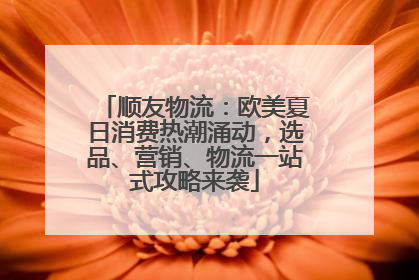顺友物流：欧美夏日消费热潮涌动，选品、营销、物流一站式攻略来袭