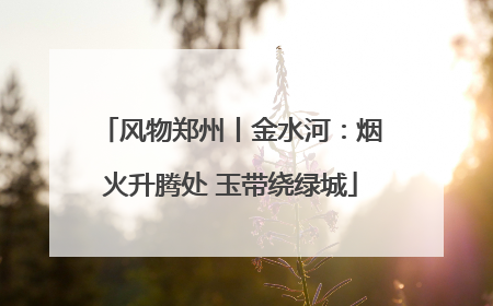 风物郑州丨金水河：烟火升腾处 玉带绕绿城