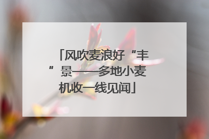 风吹麦浪好“丰”景——多地小麦机收一线见闻