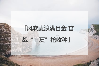 风吹麦浪满目金 奋战“三夏”抢收种