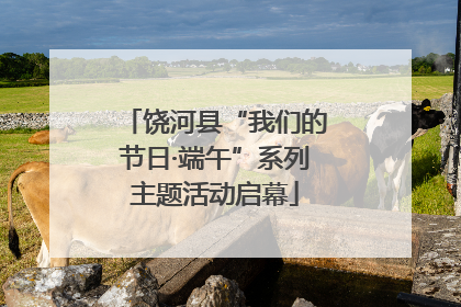饶河县“我们的节日·端午”系列主题活动启幕