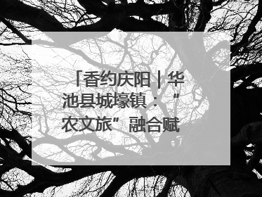 香约庆阳｜华池县城壕镇：“农文旅”融合赋能乡村振兴