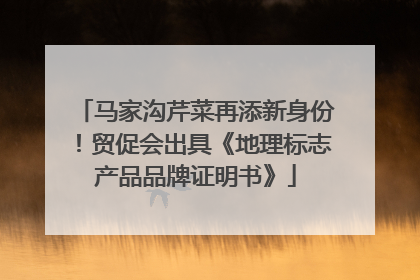 马家沟芹菜再添新身份！贸促会出具《地理标志产品品牌证明书》