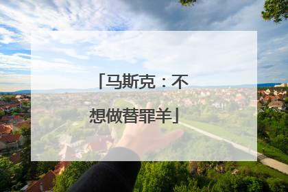 马斯克：不想做替罪羊