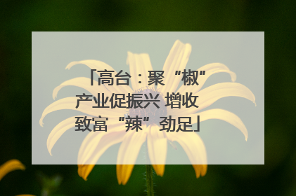 高台：聚“椒”产业促振兴 增收致富“辣”劲足