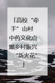 高校“牵手”山村 中药文化点燃乡村振兴“新火花”