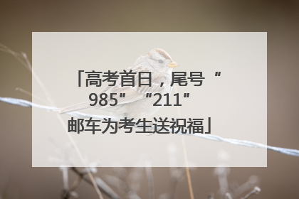 高考首日，尾号“985”“211”邮车为考生送祝福