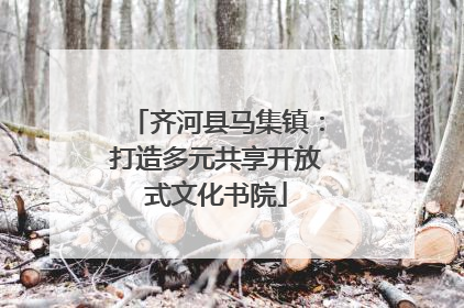齐河县马集镇：打造多元共享开放式文化书院