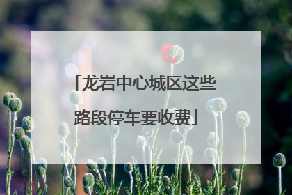 龙岩中心城区这些路段停车要收费