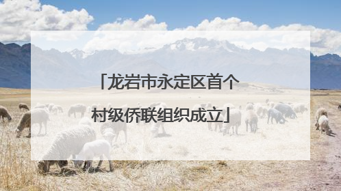 龙岩市永定区首个村级侨联组织成立