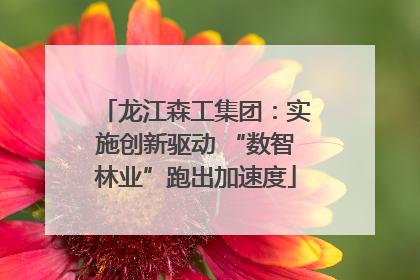 龙江森工集团：实施创新驱动 “数智林业”跑出加速度