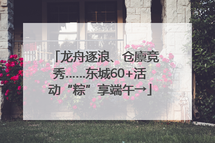 龙舟逐浪、仓廪竞秀……东城60+活动“粽”享端午→