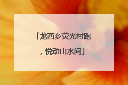 龙西乡荧光村跑，悦动山水间