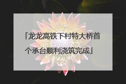 龙龙高铁下村特大桥首个承台顺利浇筑完成
