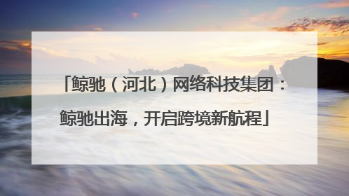 鲸驰（河北）网络科技集团：鲸驰出海，开启跨境新航程