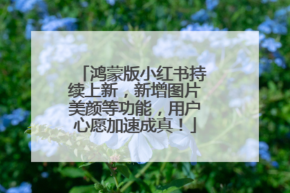 鸿蒙版小红书持续上新，新增图片美颜等功能，用户心愿加速成真！