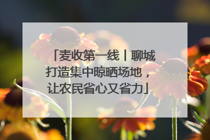 麦收第一线丨聊城打造集中晾晒场地，让农民省心又省力
