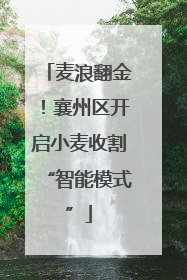 麦浪翻金！襄州区开启小麦收割“智能模式”