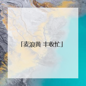麦浪黄 丰收忙