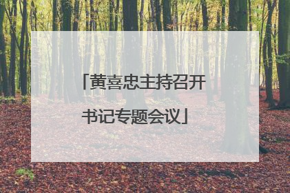 黄喜忠主持召开书记专题会议