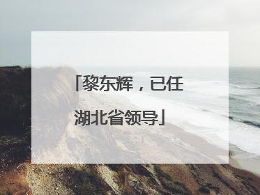 黎东辉，已任湖北省领导
