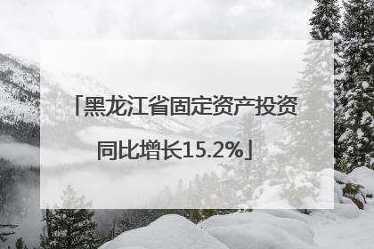 黑龙江省固定资产投资同比增长15.2%
