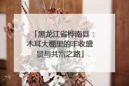 黑龙江省桦南县：木耳大棚里的丰收盛景与共富之路