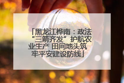 黑龙江桦南：政法“三箭齐发”护航农业生产 田间地头筑牢平安建设防线
