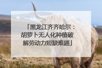 黑龙江齐齐哈尔：胡萝卜无人化种植破解劳动力短缺难题