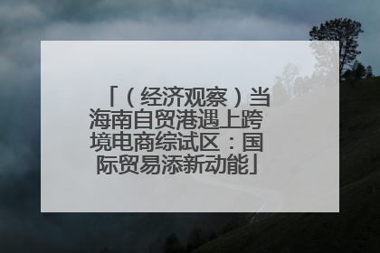 （经济观察）当海南自贸港遇上跨境电商综试区：国际贸易添新动能