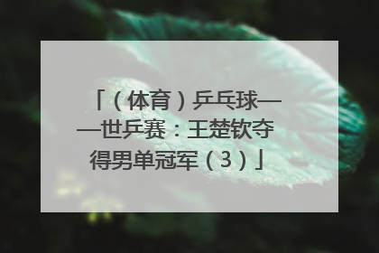 （体育）乒乓球——世乒赛：王楚钦夺得男单冠军（3）