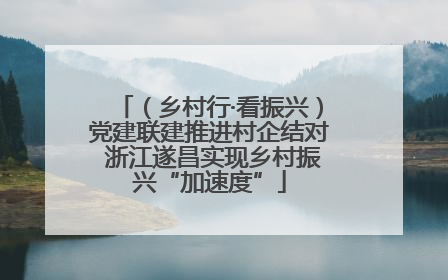 （乡村行·看振兴）党建联建推进村企结对 浙江遂昌实现乡村振兴“加速度”