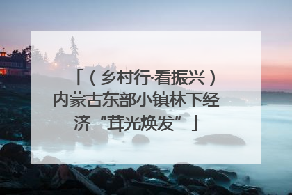 （乡村行·看振兴）内蒙古东部小镇林下经济“茸光焕发”