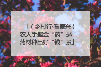 （乡村行·看振兴）农人手握金“药”匙 药材种出好“钱”景