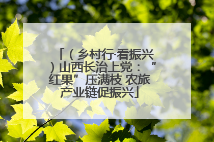（乡村行·看振兴）山西长治上党：“红果”压满枝 农旅产业链促振兴