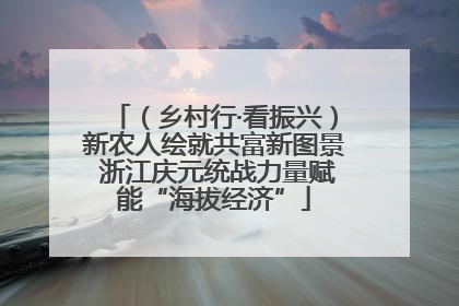 （乡村行·看振兴）新农人绘就共富新图景 浙江庆元统战力量赋能“海拔经济”
