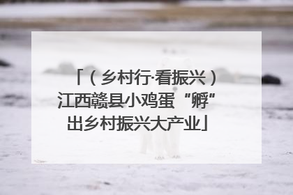 （乡村行·看振兴）江西赣县小鸡蛋“孵”出乡村振兴大产业