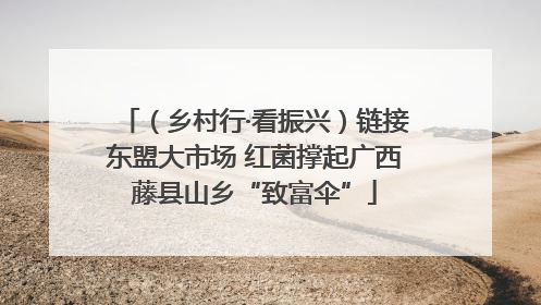 （乡村行·看振兴）链接东盟大市场 红菌撑起广西藤县山乡“致富伞”