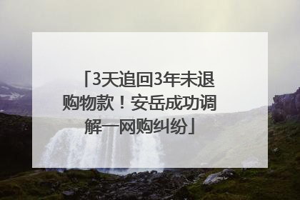 3天追回3年未退购物款！安岳成功调解一网购纠纷