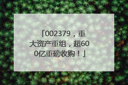 002379，重大资产重组，超600亿重磅收购！