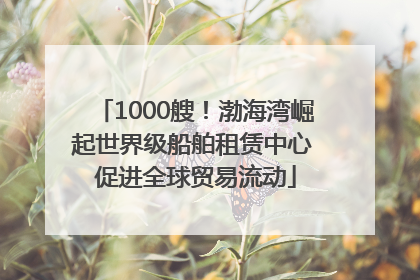 1000艘！渤海湾崛起世界级船舶租赁中心 促进全球贸易流动